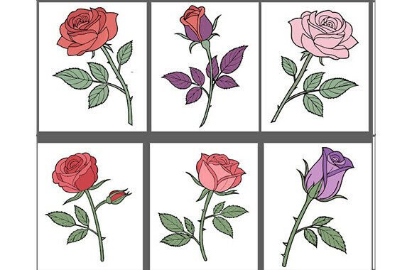 Hand-drawn Rose Flower SVG Bundle Review
